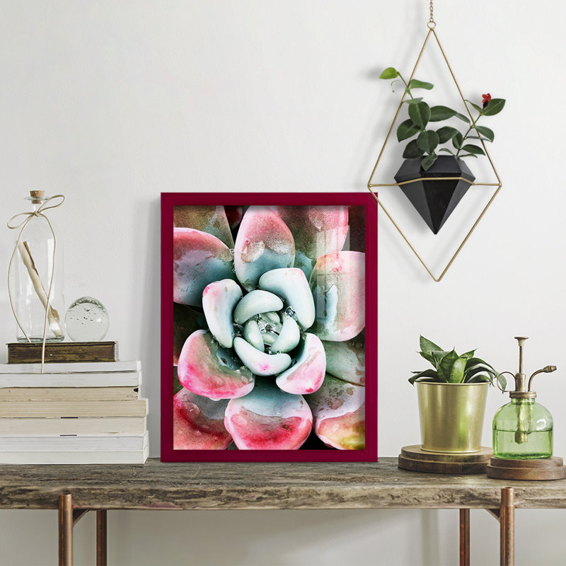 Pastel Succulent Beauty V, reproduction d'art sur papier, Rouge, H 15 po x l 12 po x P 1 po