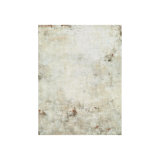 White Shadow Print by Samuel Kane