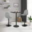 Marcien Swivel Upholstered Adjustable Height Counter Stool with Metal Frame-1315231615