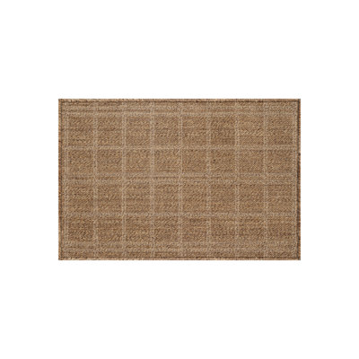 Plaid Easy-Care Indoor/Outdoor Flat Woven Area Rug