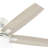 Anisten 52" 5 - Blade Ceiling Fan With Lights and Pull Chains-84931859