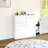 Charming Shoe Storage Cabinet With Customizable Compartments And Fine Craftsmanship