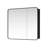 Giancola 36 in.W x 32 in.H Rectangular Framed Medicine Cabinet with Mirror-1158134700