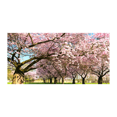Cherry Trees - Wrapped Canvas Print