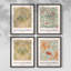 «William Morris I», ensemble de 4 reproductions encadrées-999686417-999686418