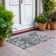 Washable Indoor / Outdoor Rug