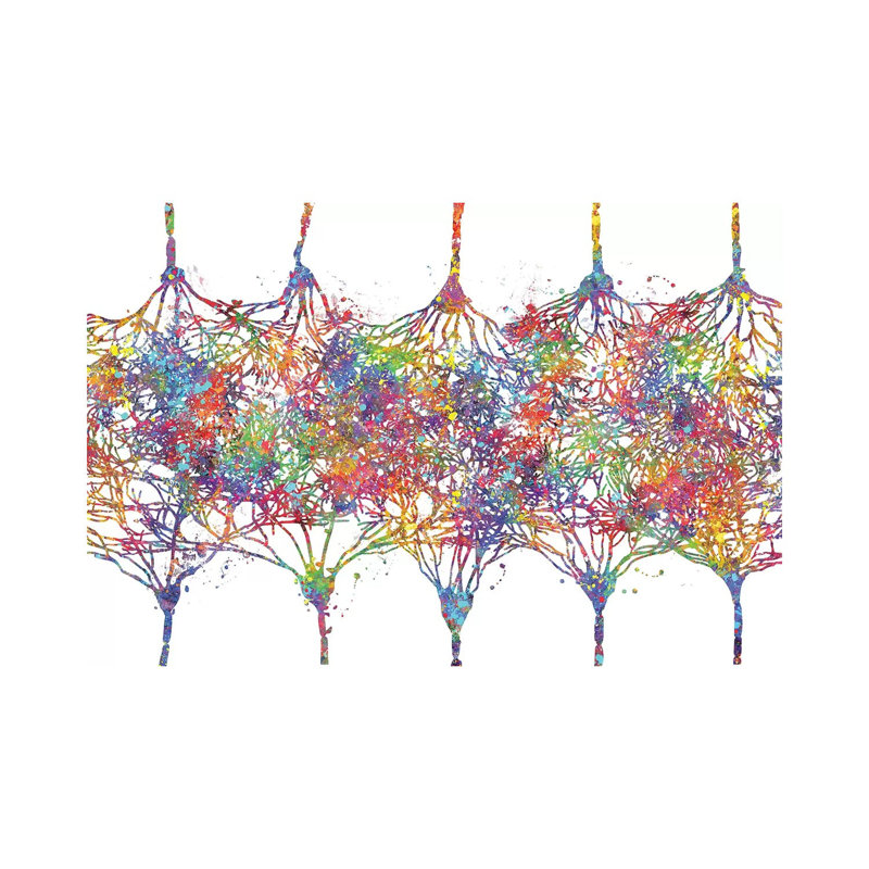 Cortical Neurons by Genefy Art - Print on Canvas, Wrapped Canvas, 45.72cm H x 66.04cm W x 3.81cm D