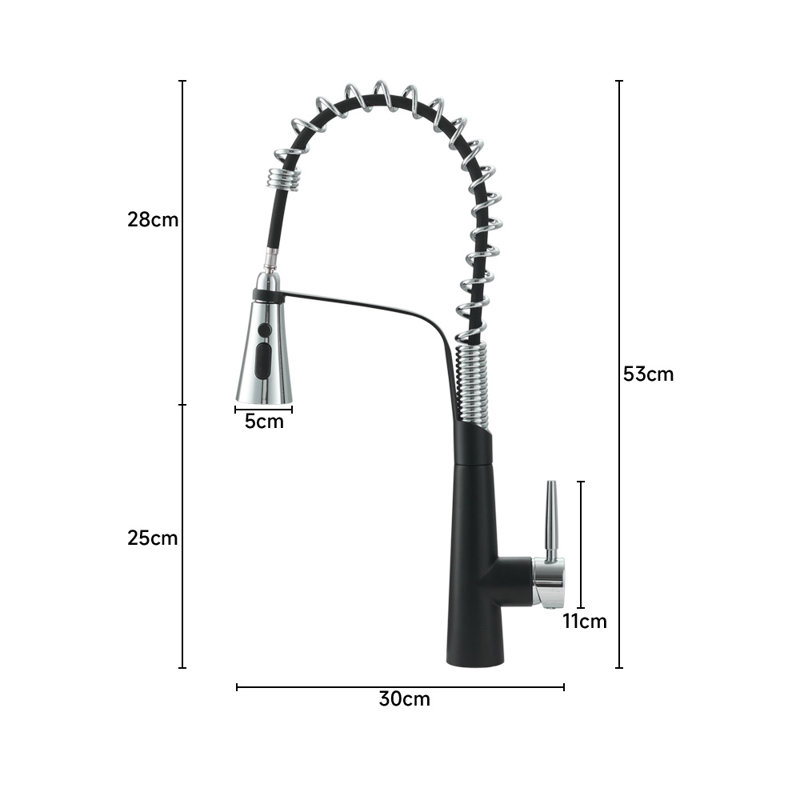 Belfry Kitchen Apollinaris Kitchen Faucet, Matte Black/Chrome