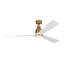 Smart LED Ceiling Fan-770742670