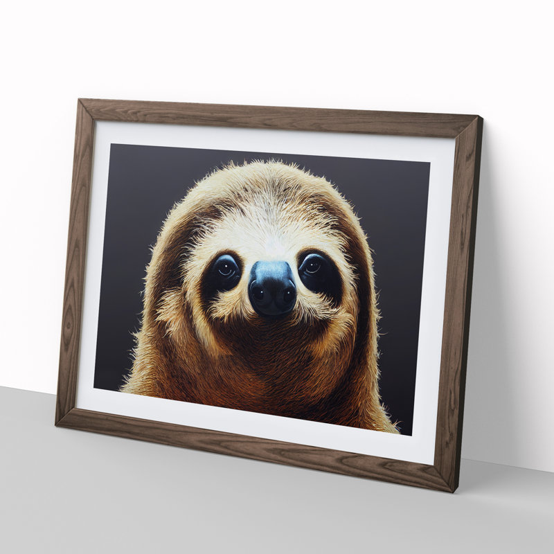 Cute Sloth - Framed Print, 46cm H x 64cm W x 2cm D, Walnut
