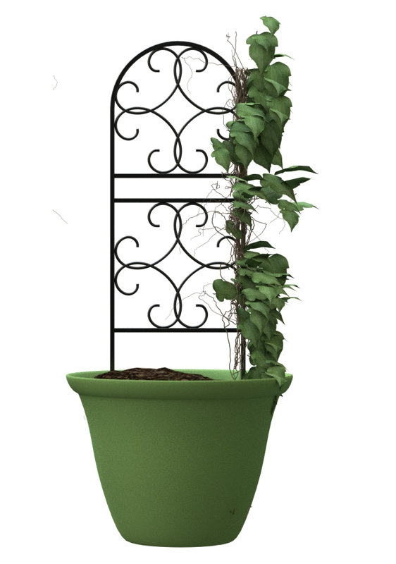 91cm H x 38cm W Metal Arched Trellis