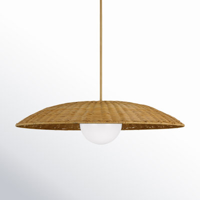 Single Light Rattan Steel Dimmable Pendant