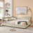 Queen Size Upholstered Tufted Bed Frame, Sofa Bed with Backrest & Armrests, Velvet, Queen Bed for Bedroom, Living Room (85.5''x64.5''x30.5'')-1618478787