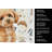 Toy Apricot Poodle Coffee Bar Kitchen Towel-1168063468