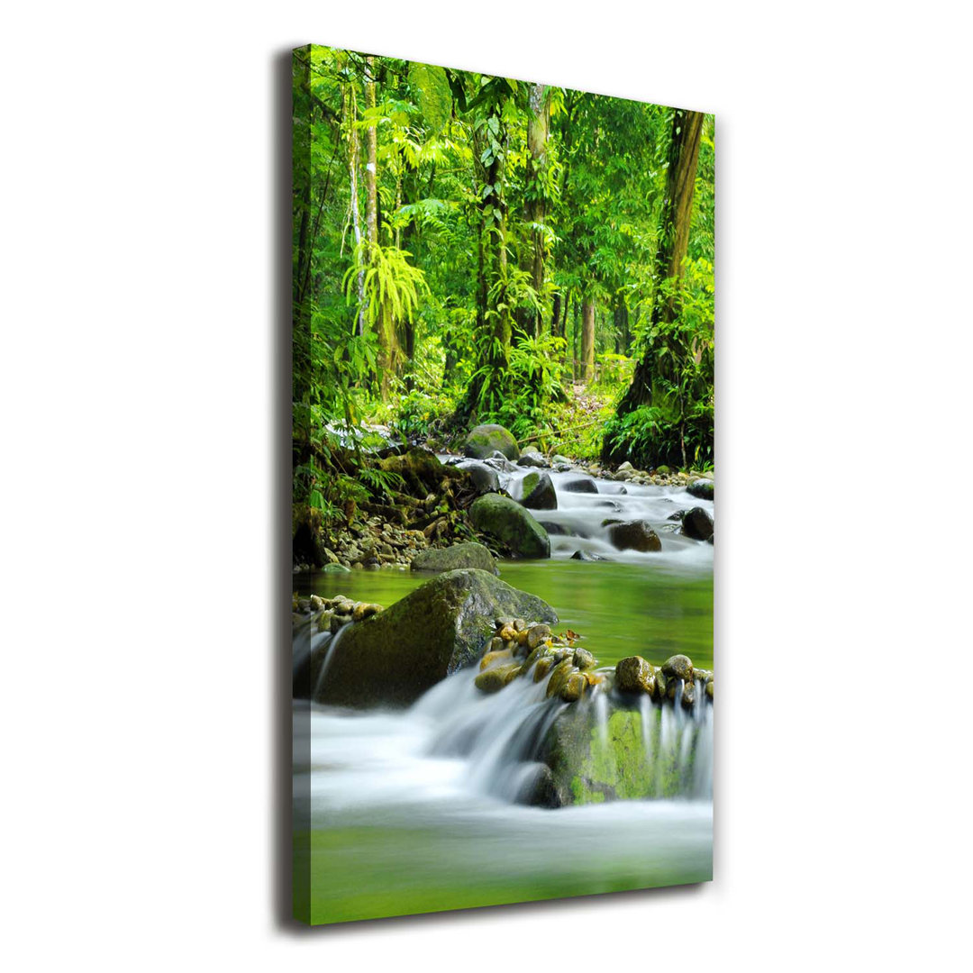 Mountain Stream - Kunstdruck auf Leinwand