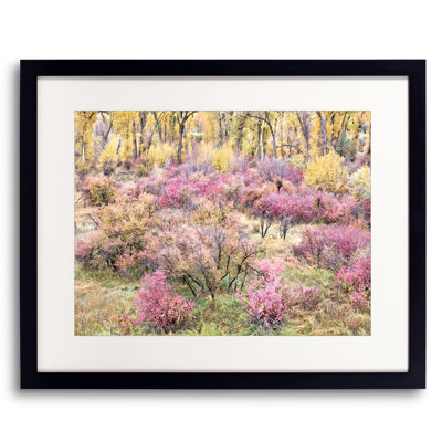 Swan Valley Autumn Portrait #8 Print by Bruce Heinemann