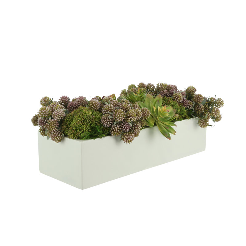 Succulents and Sedum Arranged in Fiberstone Planter
