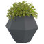 Planter 2 Pcs Steel-55003601-55003600
