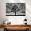 Grand arbre Harnek-107857986