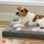 Lit pour chien ComfyFleece Cosy Crate-130021866-121145505