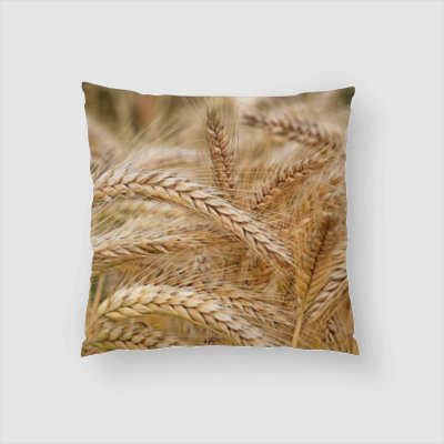 Housse de coussin Remus