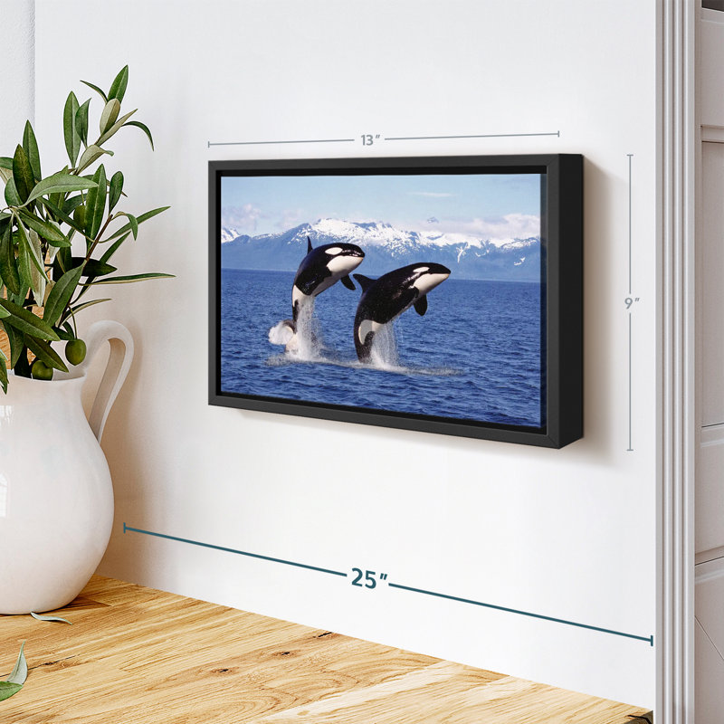 " Jumping Couple Orcas Wall Art ", 9" H x 13" W