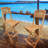 Costantino Teak Outdoor 29'' Bar Stool