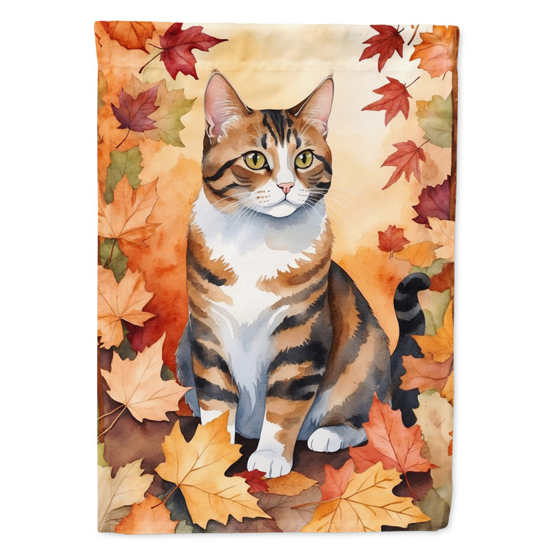 Chat en feuilles d'automne, Polydactyle américain
