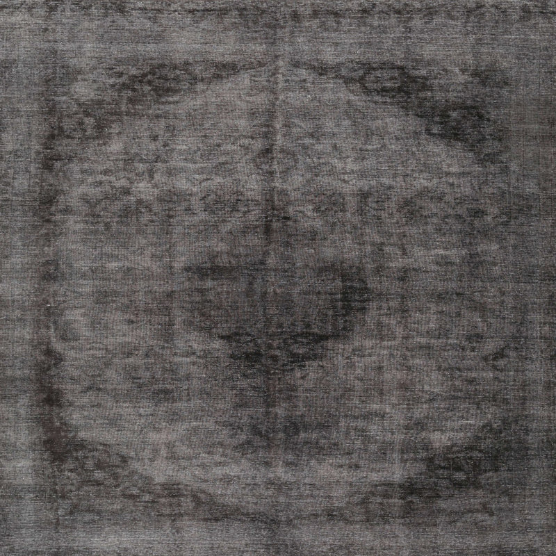 Agapios Oriental Indoor Rug, Square 4'
