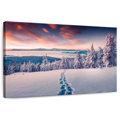 Empreintes de pas Alvord Winter