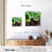 Crowle Panda Twins-109399987
