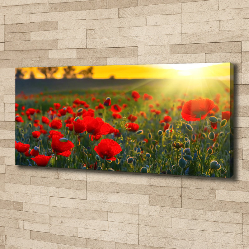 Field Of Poppies - Wrapped Canvas Print
