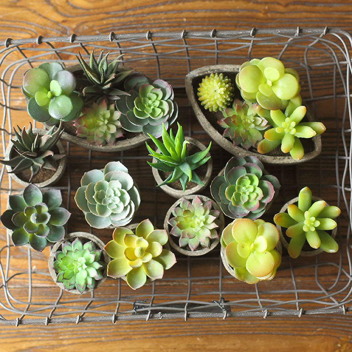 3'' Faux Succulent Plant in Pot