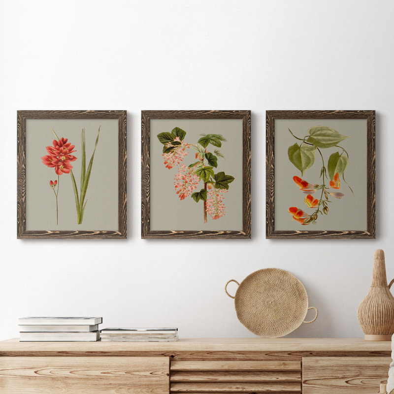 «Botanical Array IV», ensemble de 3 reproductions d'art sur toile, Noyer, H 20 po x l 51 po x P 1,5 po