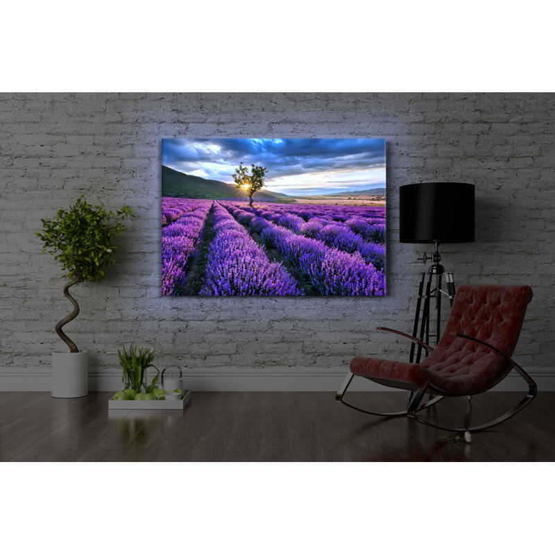 Fantastic Lavender Provence with Lonely Tree - Wrapped Canvas Photograph Print, 60cm H x 80cm W x 4.5cm D, With lighting