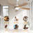TurboBreeze 45'' - 5 Blade Modern Ceiling Fan with Dimmable Light Kit and Remote Control-122950092-122950094