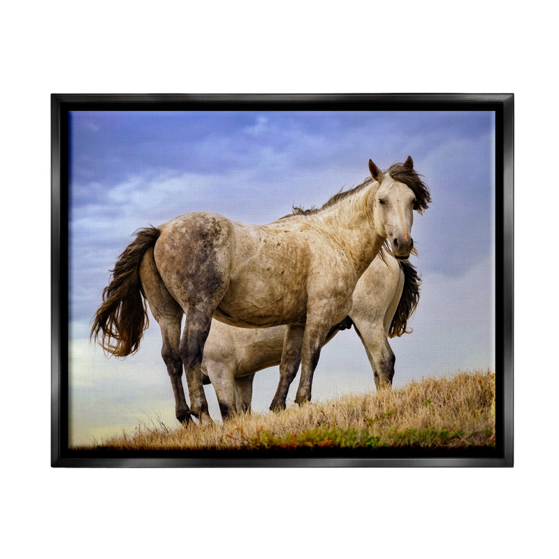 Art mural sur toile flottant "Wild Stallions" par Rick Berk, H 17 po x l 21 po x P 1,7 po, Cadre flottant noir de jais