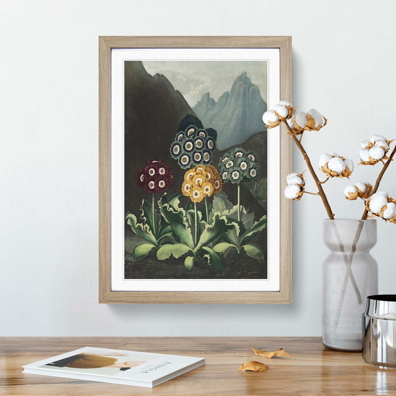 Bears Ear Flowers by R.J. Thornton - Single Picture Frame Painting, 63cm H x 45cm W x 2cm D, Oak Framed