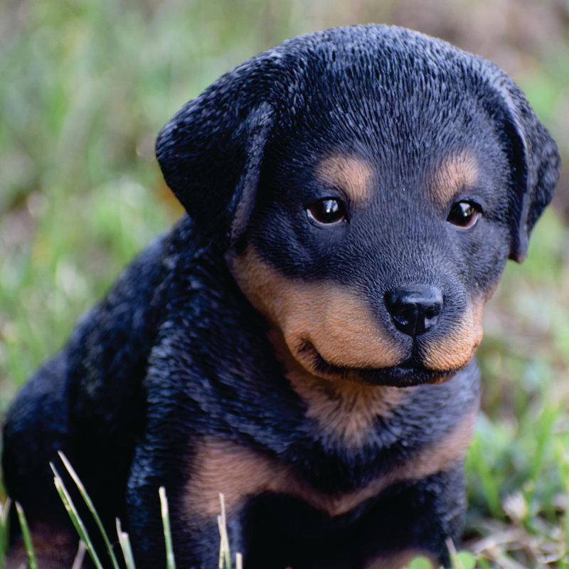 Statue chiot rottweiler assis