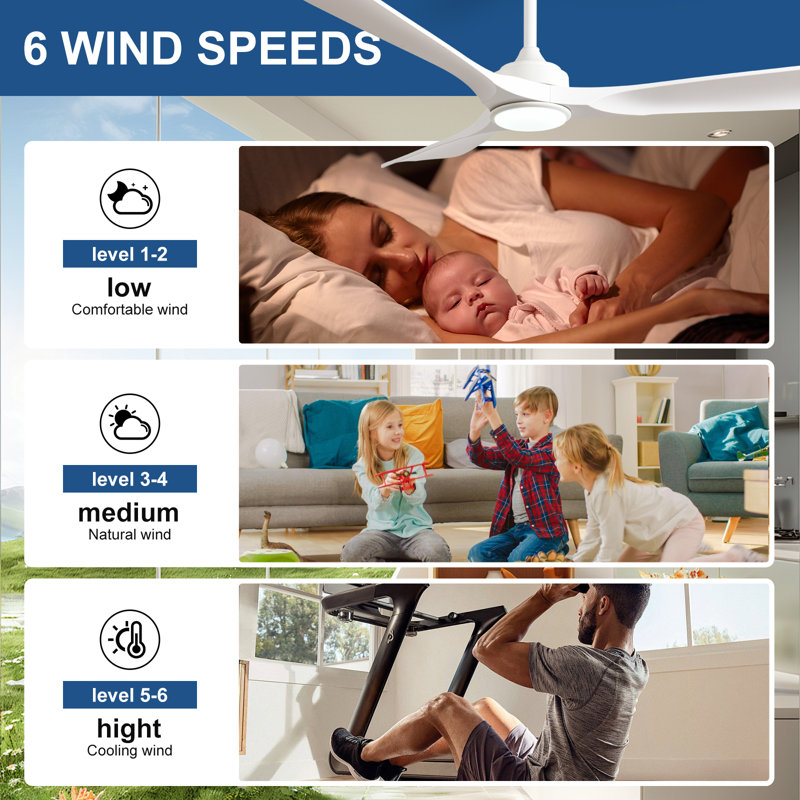 52'' White Ceiling Fan Indoor/Outdoor Fan for Patios with  Light Remote Control 6-Speed Mute Reversible Motor Timer, White