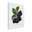 Reproduction d'art sur toile botanique-103094870