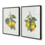 Ensemble de 2 pièces «Lemon Harvest» 2 po-817315731-817315730