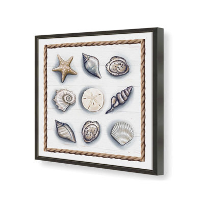 «Beach Shells II» par Elizabeth Tyndall, reproduction d'art