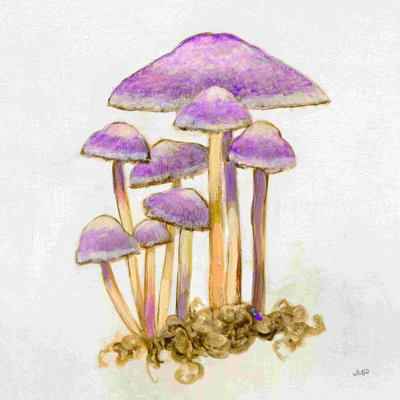 Champignon Woodland III