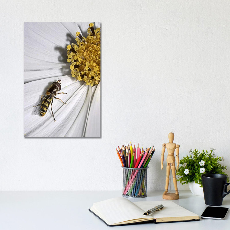 One by SD Smart - Wrapped Canvas Print, 20.32 cm H x 30.48 cm W