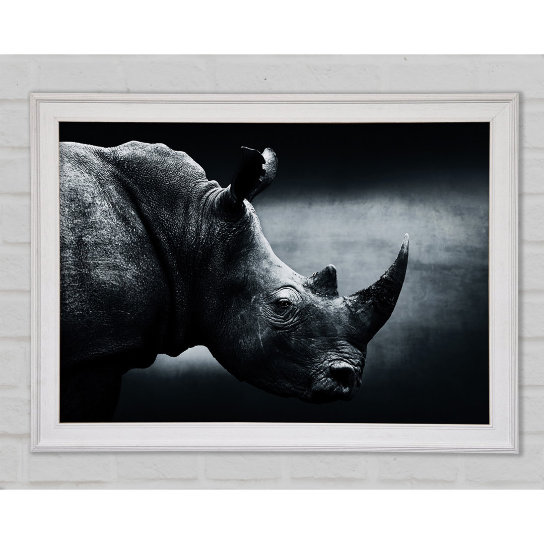 Rhinoceros Beauty - Einzelner Bilderrahmen Kunstdrucke