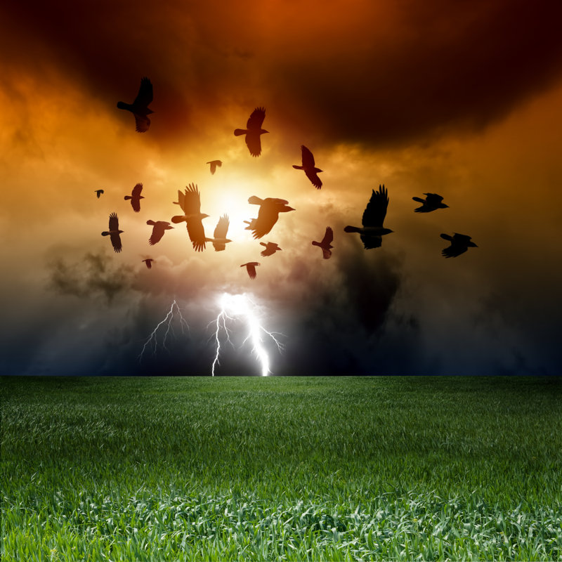 Dramatic Landscape by Ig0rZh - Wrapped Canvas Print, 30cm H x 46cm W