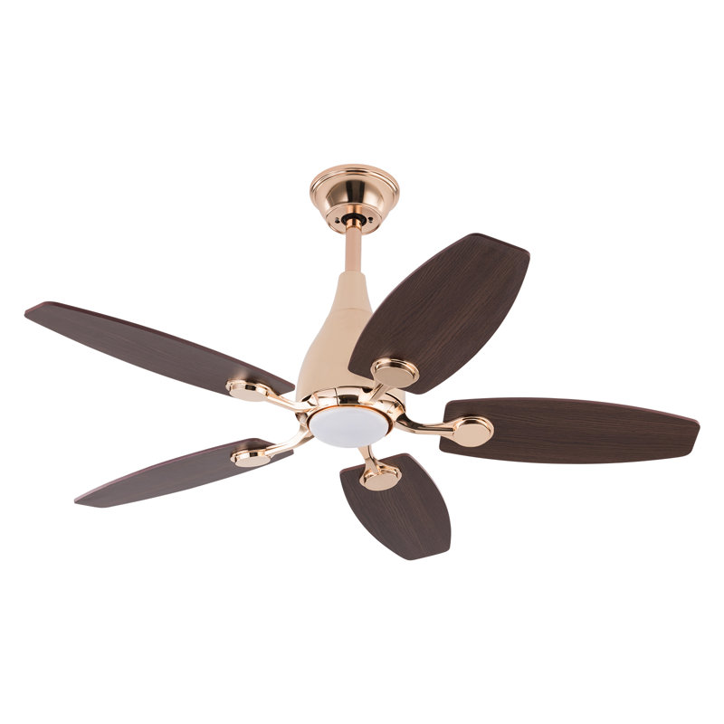 5 - Blade 42Inch Propeller Ceiling Fan with Remote Control and Light Kit Included, Rose Gold