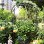 Treillage en fer Elier-1981816066-2002993651