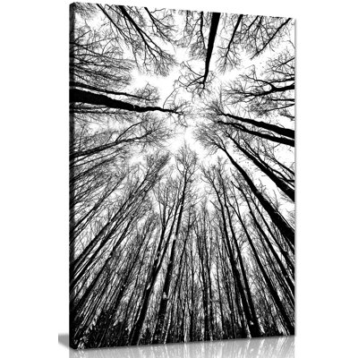 Trees - Wrapped Canvas Print